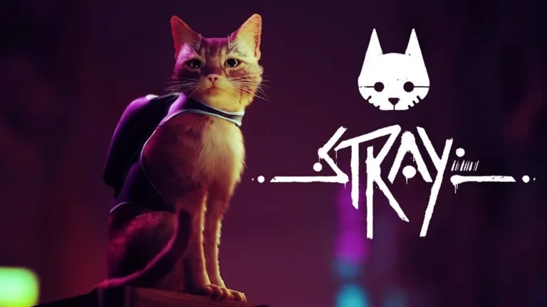 stray game