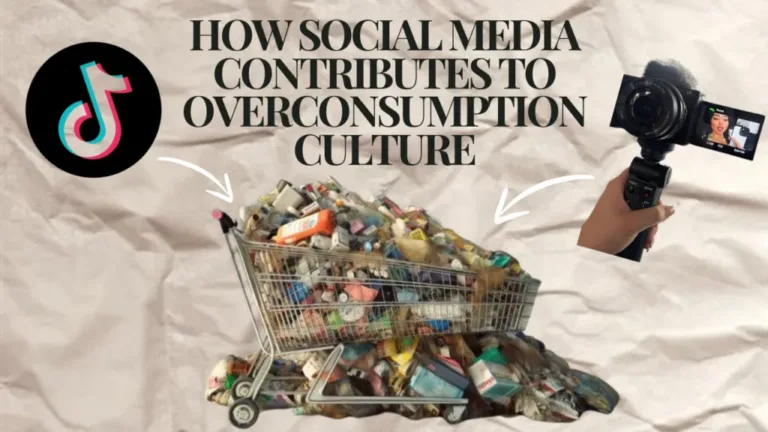 From Likes to Buys: The Powerful Impact of Social Media on Overconsumption Culture